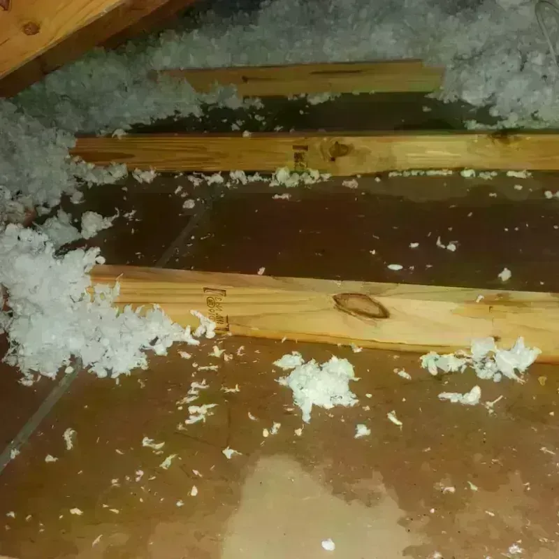 Attic Water Damage in Clarendon, AR