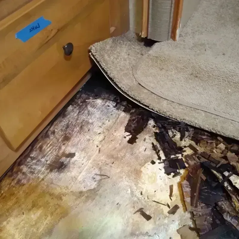 Wood Floor Water Damage in Clarendon, AR